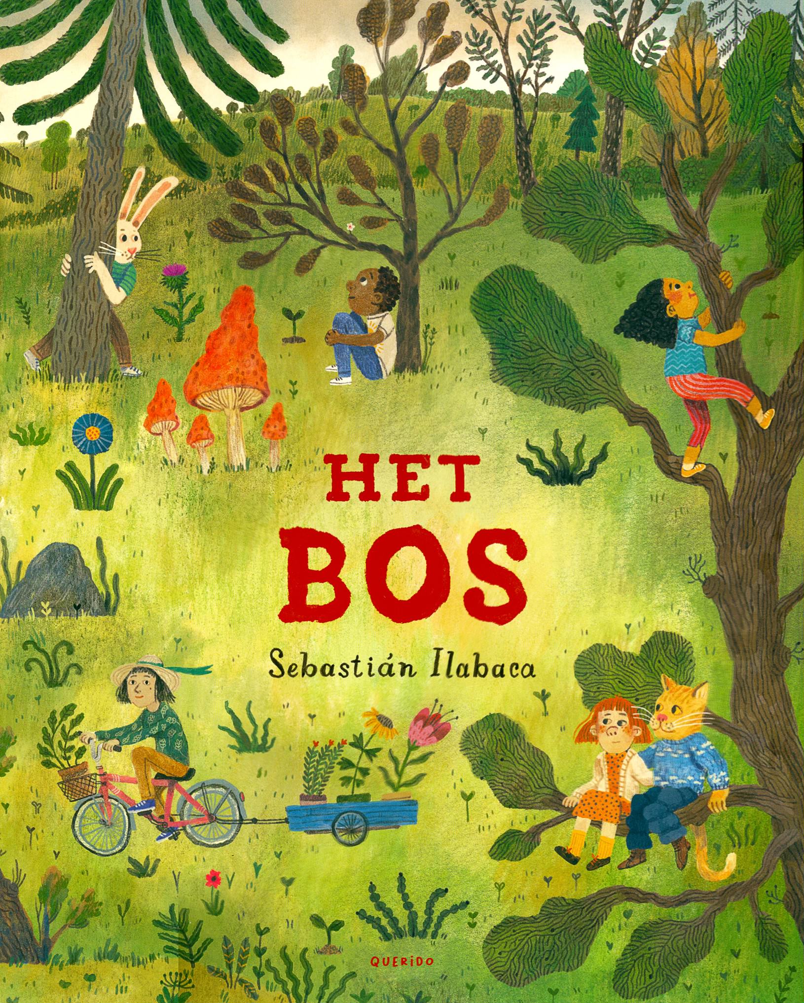 Libro acordeón El bosque- Ilabaca, Sebastian